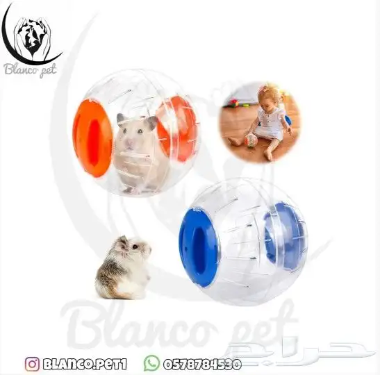 كرة هامستر 0