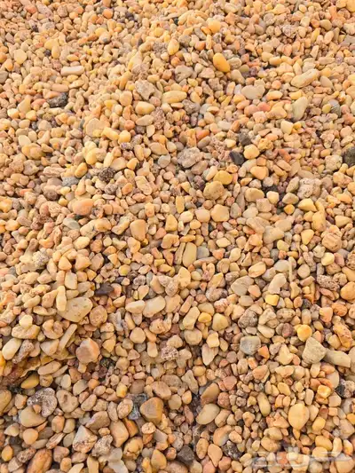 دفان وبطحاء وحصم قلابات تريلات 16