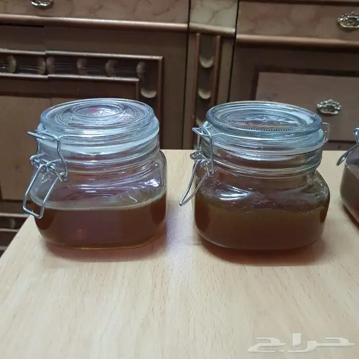 عسل سدر يمني أصلي 1