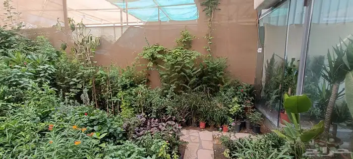 متخصص في صيانه وتنسيق الحدائق 3