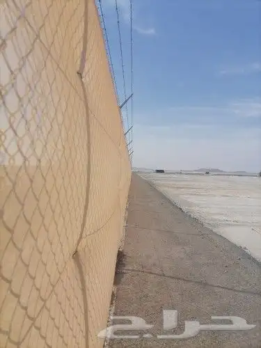 لتوريد النخل العربي والواشنطني والسياجات بجميع انواعها 4