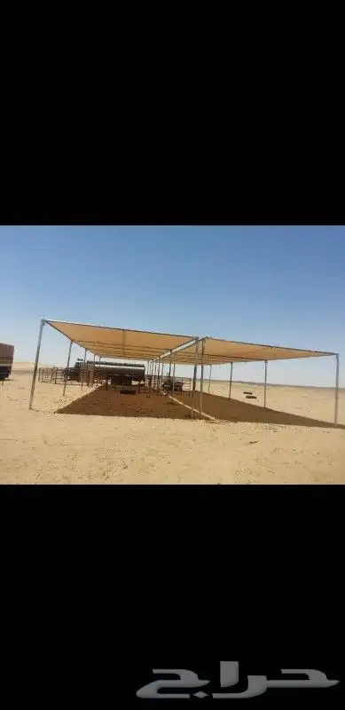 مضلات ابل ثابته تور الجزيرة 90  واسعار مناسبه 5