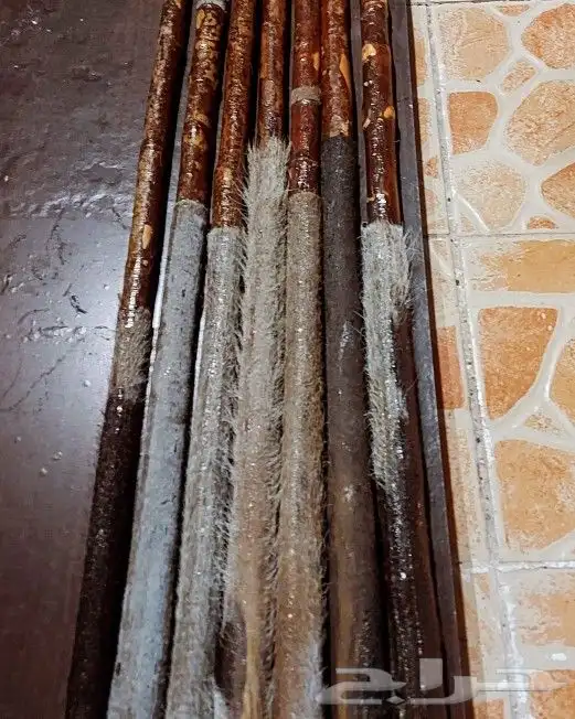 عصي مزمار لوز مسقيه ومجلبه وجاهزه 1