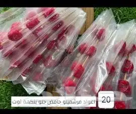 قمر الدين حامض 8