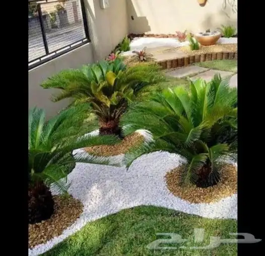 مهندس زراعي أبو سجي لصيانه وتنسيق الحدائق 8