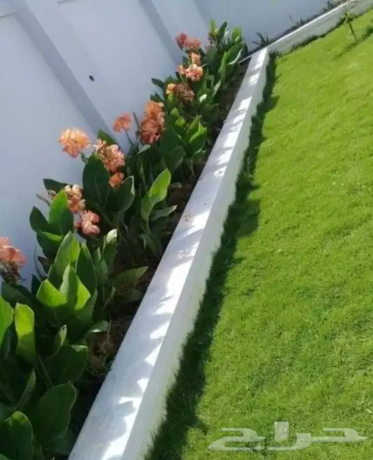 مهندس زراعي أبو سجي لصيانه وتنسيق الحدائق 9