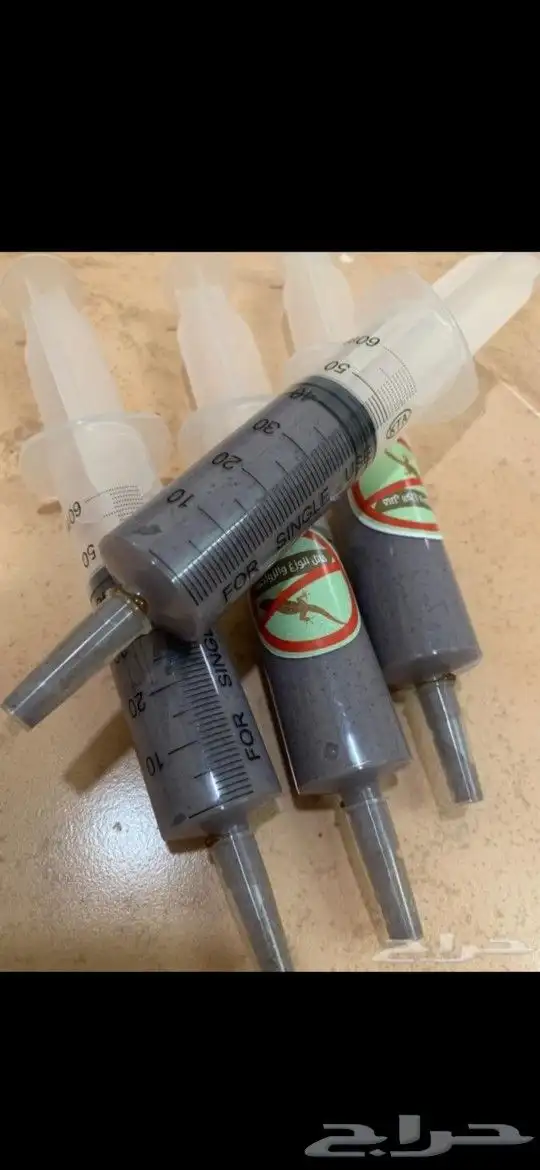قاتل الوزغ والزواحف 1