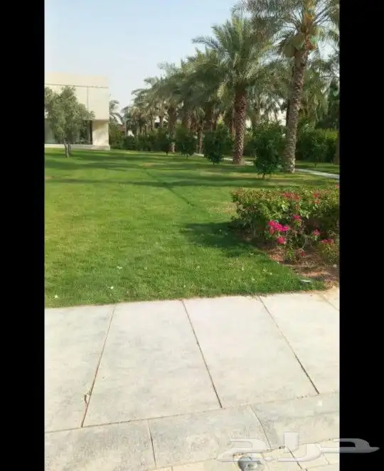 مهندس زراعي أبو سجي لصيانه وتنسيق الحدائق 2