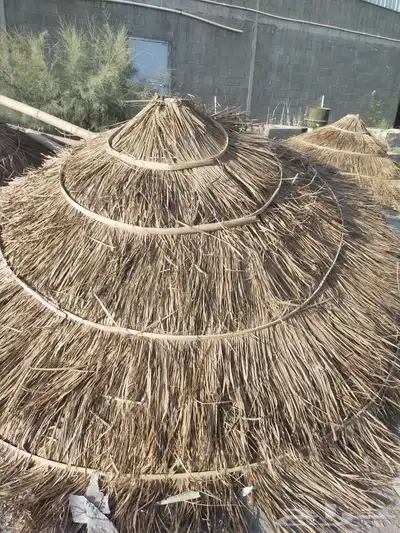 مزرع أبو يوسف 6