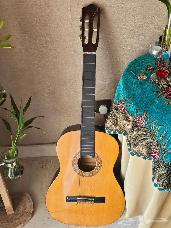 آلات موسيقية 0