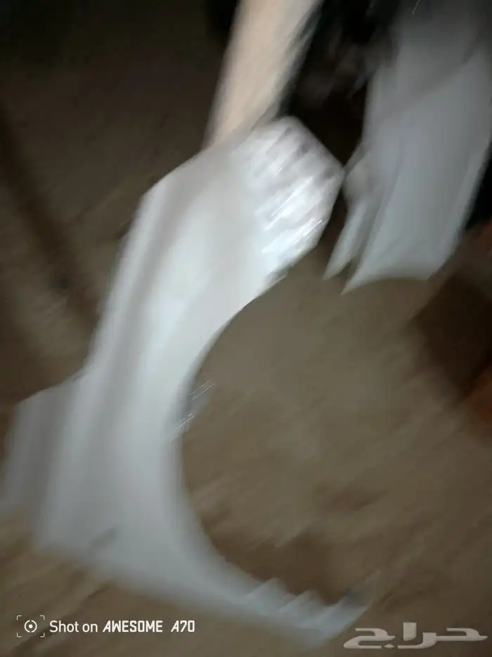 كبوت رفرف باب و صدام و اسطب يارس 2024 8