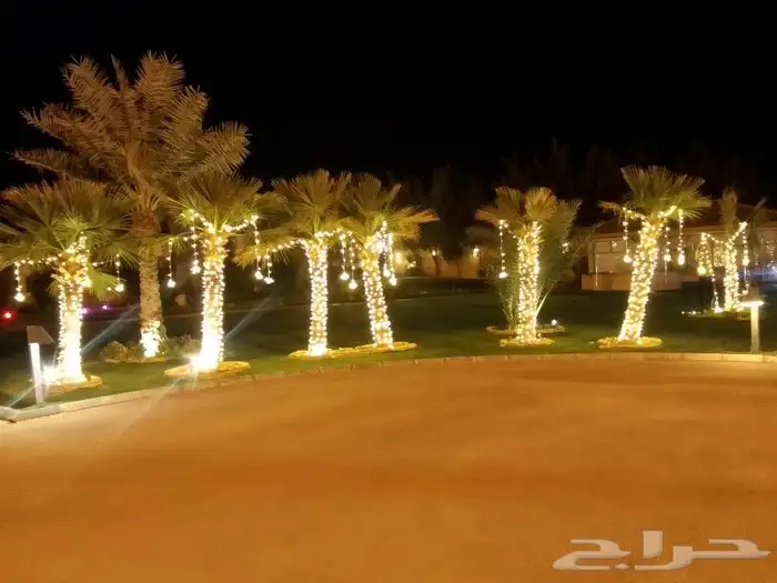 تاجير وتركيب نشر الكويتي زينه عرس تركيب جميع الاضاءه 6