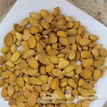 زبيب رزقي يمني للوز البلدي خولاني زبيب اسود يمني عسل عصيمي 4