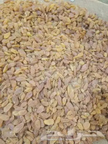 زبيب رزقي يمني للوز البلدي خولاني زبيب اسود يمني عسل عصيمي 2