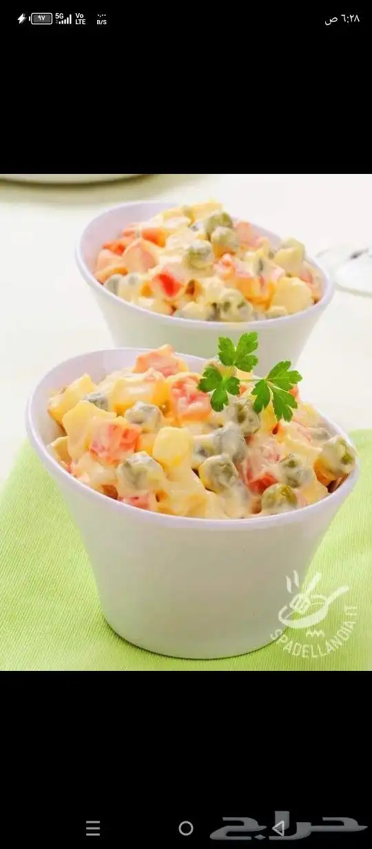 شيف مقبلات وسلطات. 2