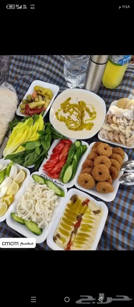 شيف مقبلات وسلطات. 5