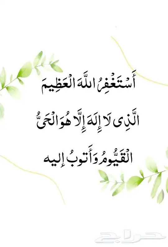 شيول للإيجار 1
