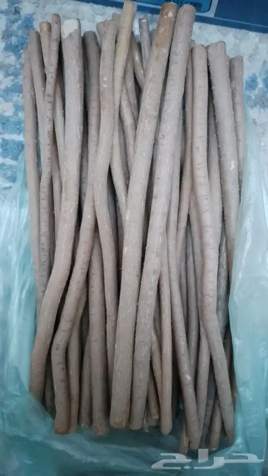 مساويك حلي 0