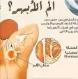 أخصائي علاج طبيعي الابهر 3