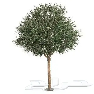 أشجار زينة كأنها الأصل 2