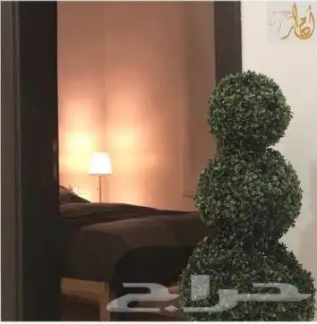 شاليهات امهار الإيجار اليومي العاب مائيه ومسبح 14