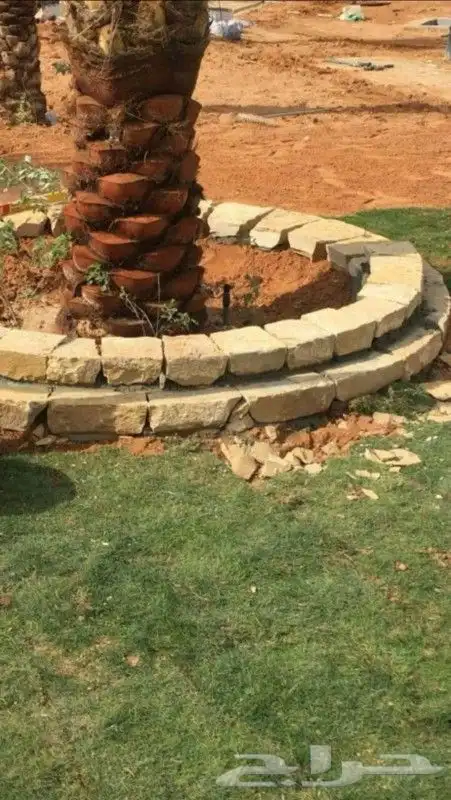 احواض نخيل وزراعه 6