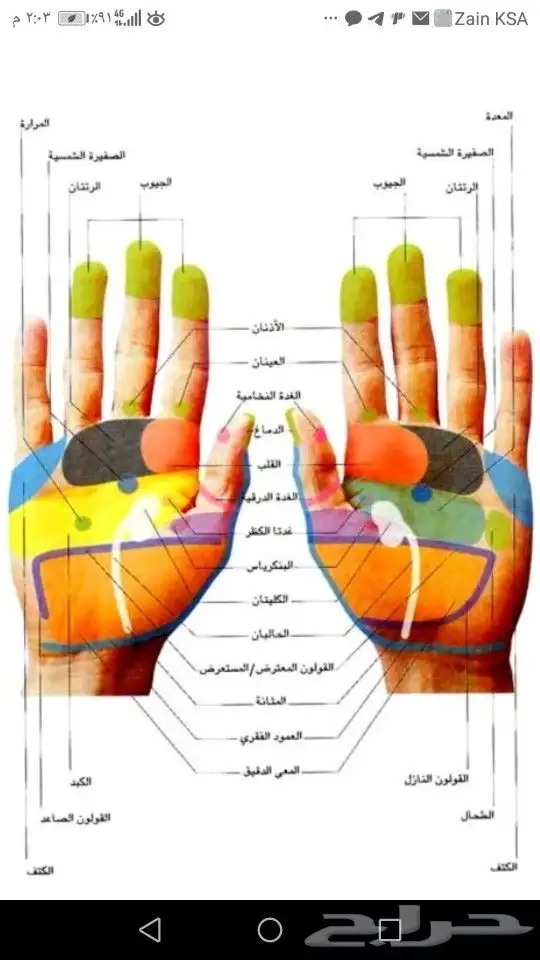أخصائي علاج طبيعي الابهر 8