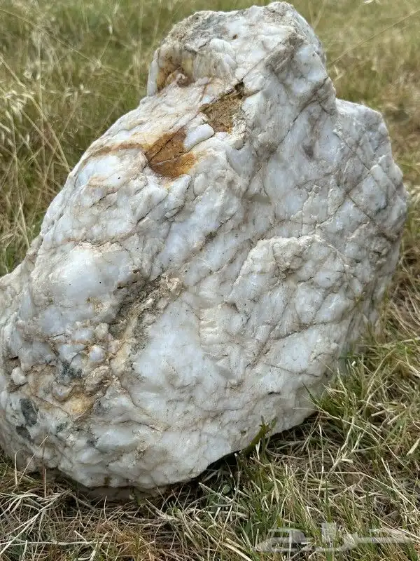 حجر مرو كبير و عروق مرو طبيعيه قد تحتوي على ذهب (غير مضمون) 6