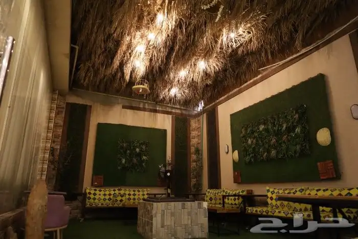 تصوير شاليهات فاخره 4