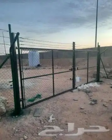 شبوك باانوعها المقوال ابو محمد 4
