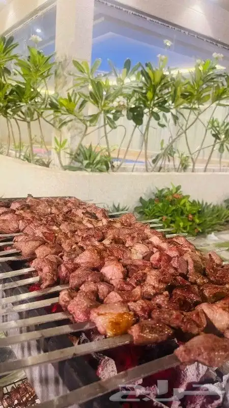 معلم مشويات شوي خارجي 7