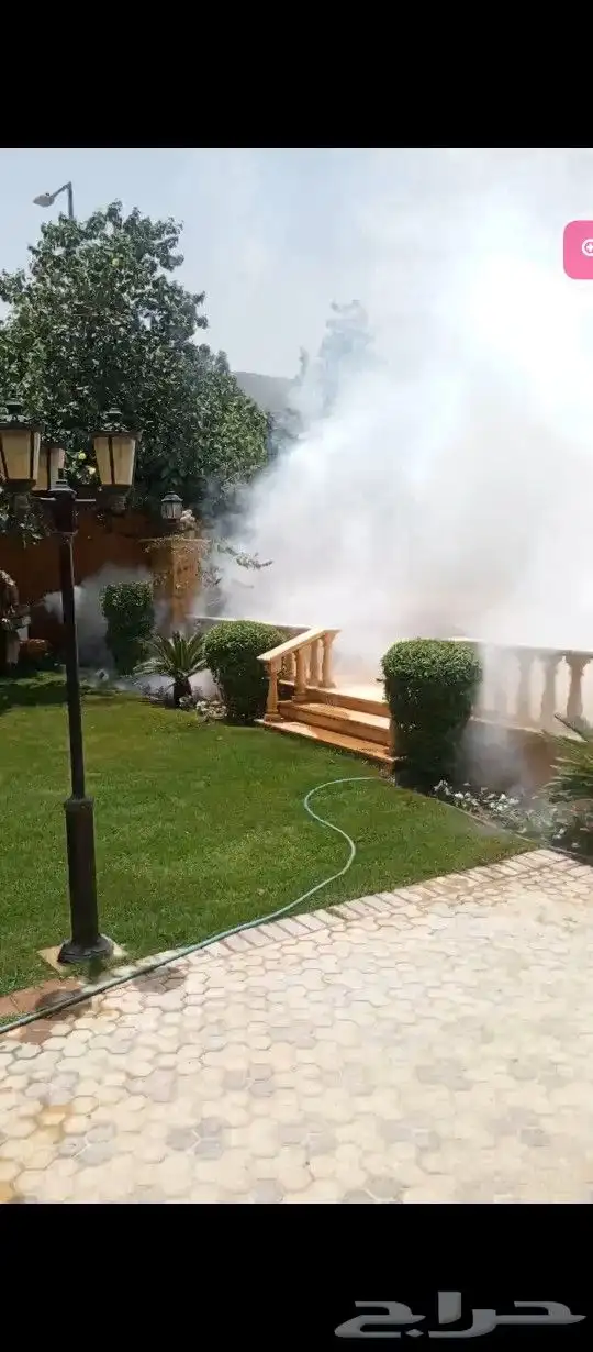 رش مبيدات ومكافحه الحشرات وسوسه النخيل 2