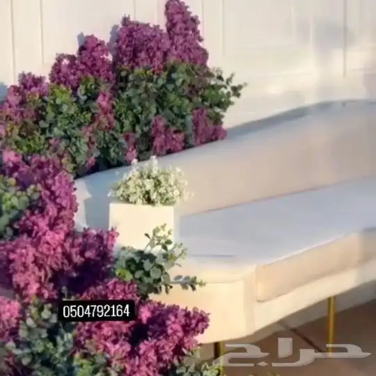 كوشات_الجوف  قاره_سكاكا_الجوف_قارا_زلوم_دومه  الجوف_دومة_ال 1