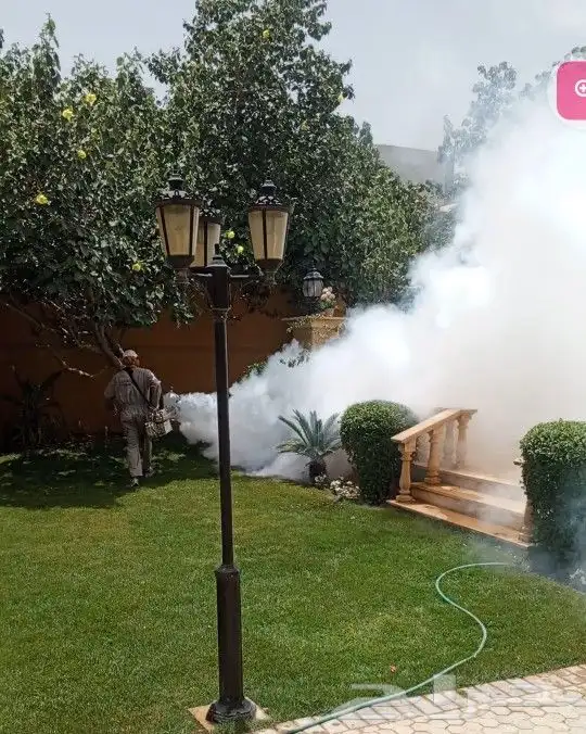 رش مبيدات ومكافحه الحشرات وسوسه النخيل 0