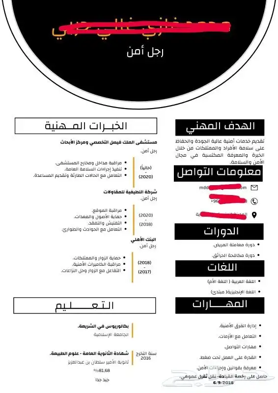سيرة ذاتية احترافية باللغتين الإنجليزية والعربية 3