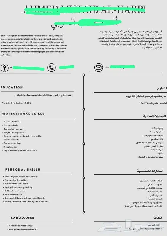 سيرة ذاتية احترافية باللغتين الإنجليزية والعربية 6