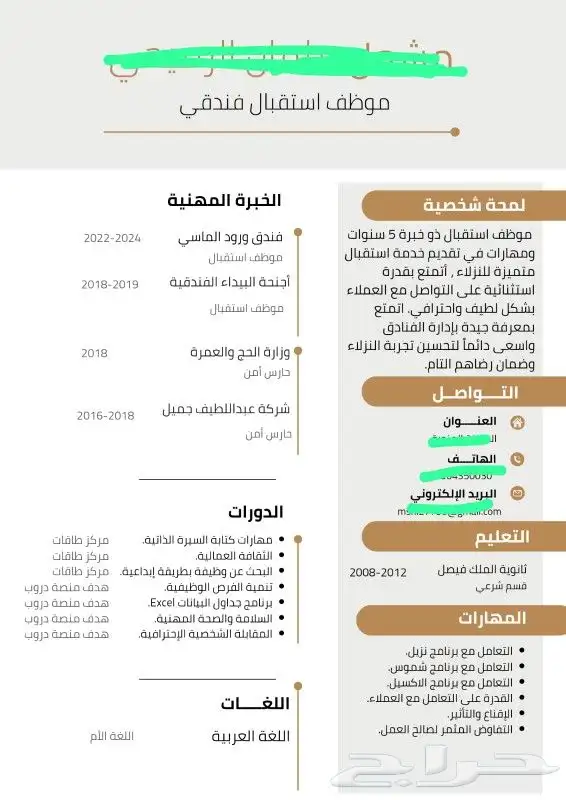 سيرة ذاتية احترافية باللغتين الإنجليزية والعربية 2