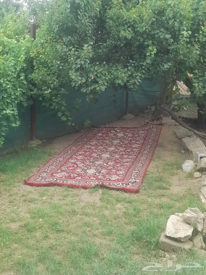 بيت مفروش للايجار 3