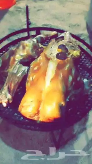 زهرة الجبلين للرحلات البرية تم تركيب رذاذ 22