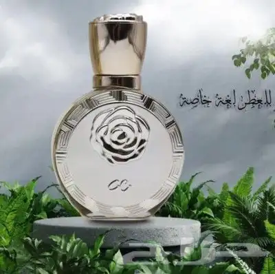 عطورميني25ملي بسعر13ريال الدرزن145ريال شركه جيني الاصليه 10