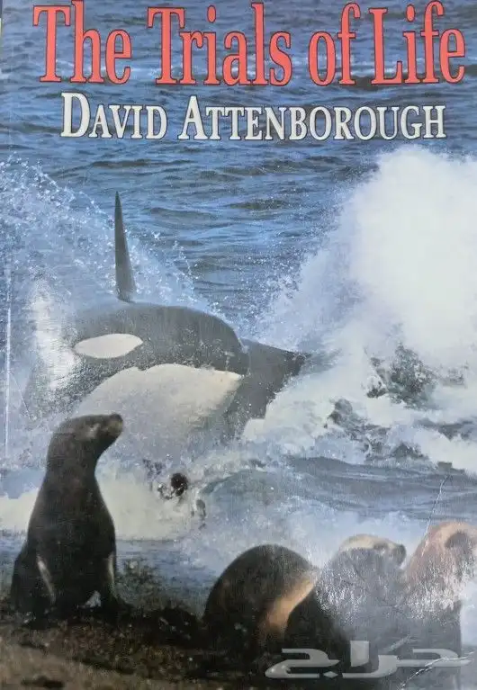 ENGLISH NOVELS AND BOOKS 23