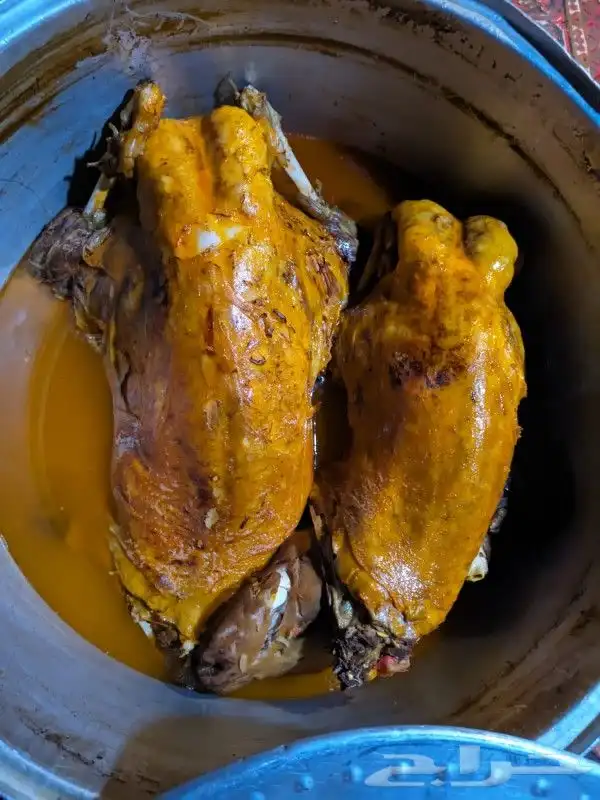 سيارة للرحلات البرية يوجد رذاذ ماء 5