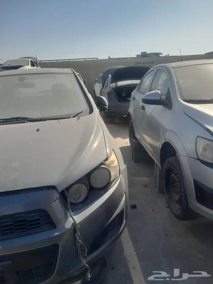 سونيك 2013 2