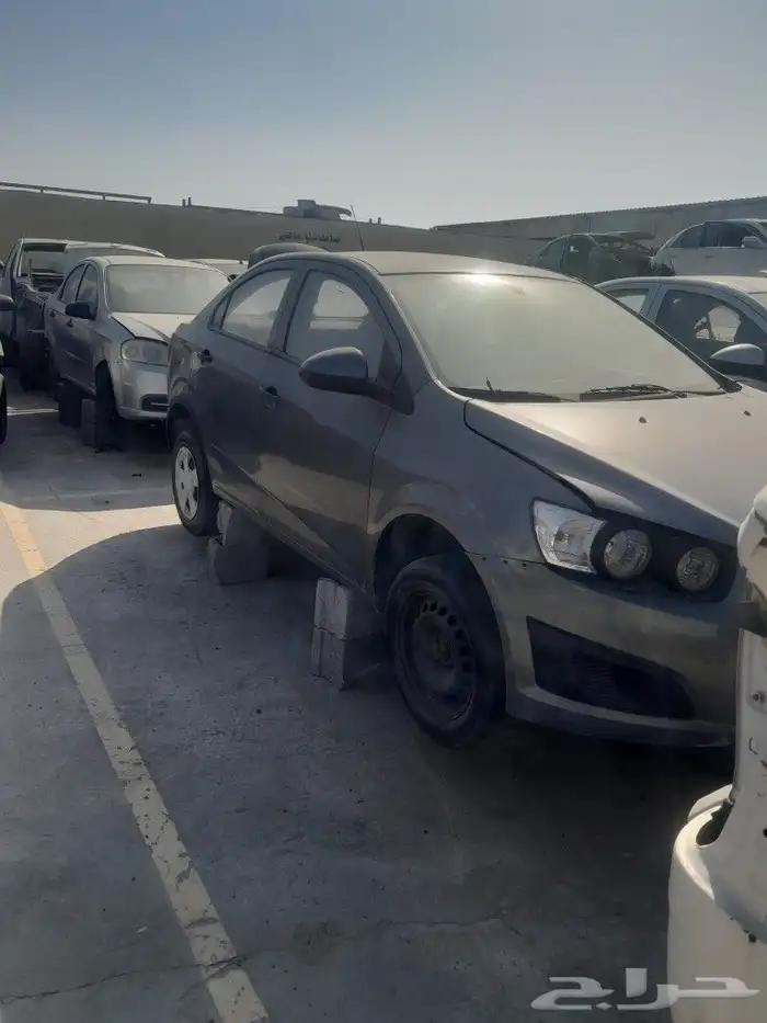 سونيك 2013 1