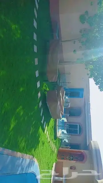شاليهات دبليو الرياض الرمال 2