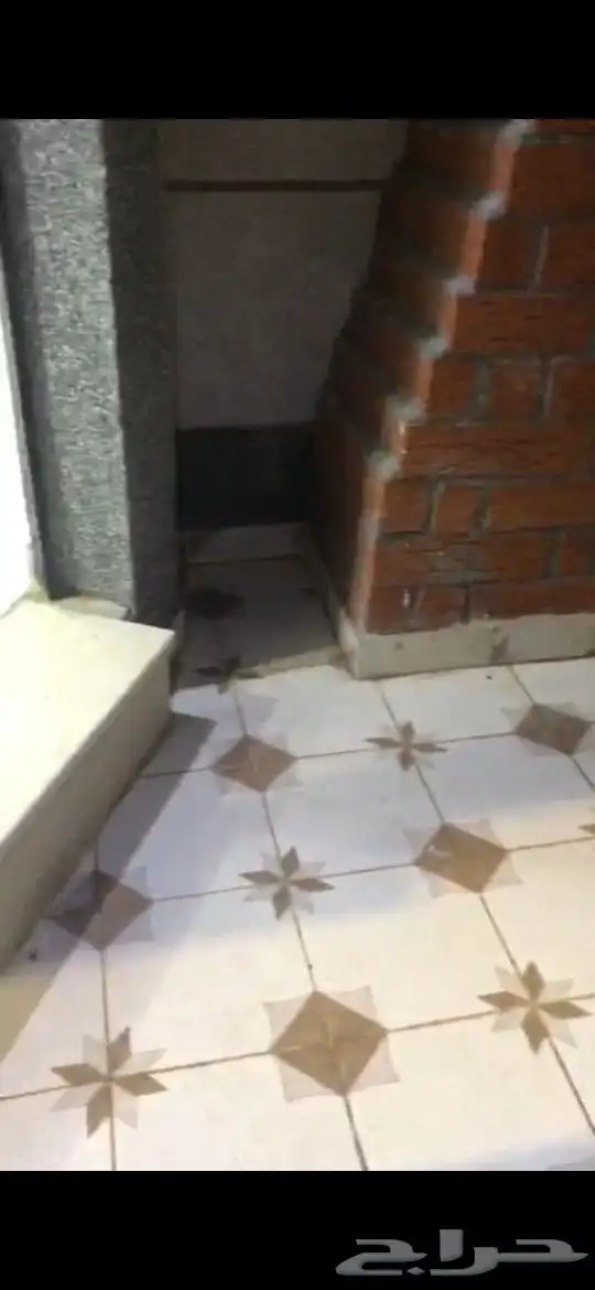 الذيبية عزاب غرفه ومشب جديد 0