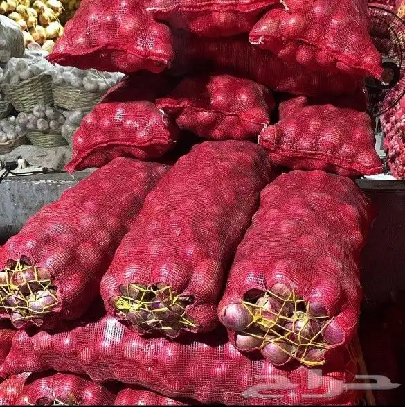 توريد خضار وفواكه 3