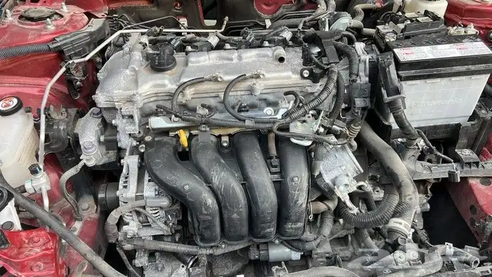 مكاين وقيور ودبلات 6