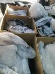 عدسات زنون لمبات محولات اناره السيارات تفصيل قزاز اسطبات 32
