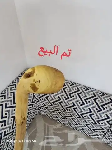 عصا نحيفه ومميزه ( تم البيع ) 8